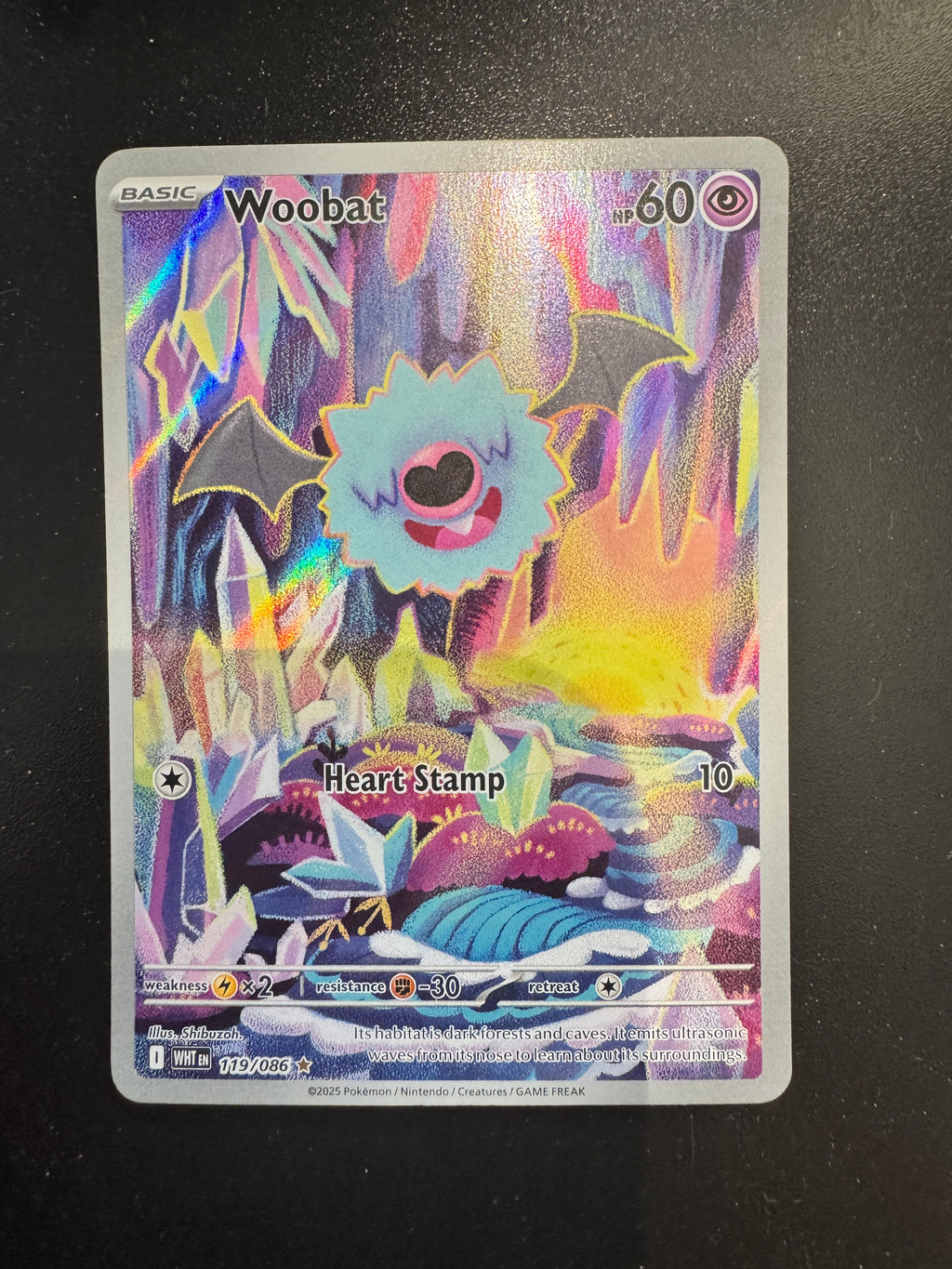 Woobat (WHT 119) EN